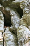 excursie mullerthal 013
