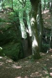 excursie mullerthal 022