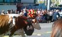 IMAG0118