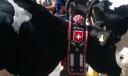 IMAG0123