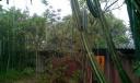 IMAG0199