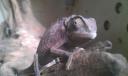 IMAG0204