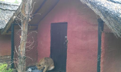 IMAG0215