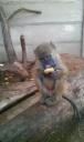 IMAG0236
