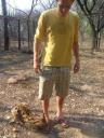 Prince de serval
