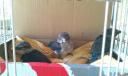 awsomenes deel 2