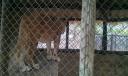 IMAG0557