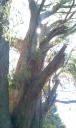IMAG0589