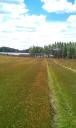 IMAG0603
