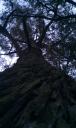 IMAG0632