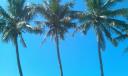 IMAG0517