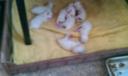 IMAG0531