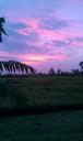 IMAG0883