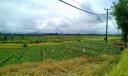 IMAG0919