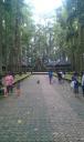 IMAG0920