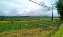 IMAG0919