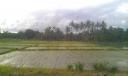 IMAG0936