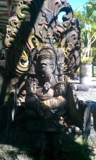 IMAG0950