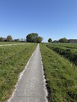 IMG_7289