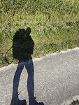 IMG_7291