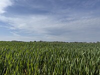 IMG_7293