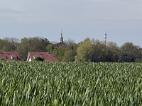 IMG_7294