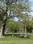 IMG_7298