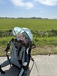 IMG_7299