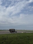 IMG_7306