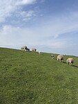 IMG_7307