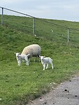 IMG_7308