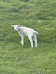 IMG_7309