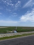 IMG_7310