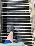 IMG_7311