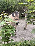 IMG_7357