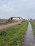 IMG_7375