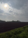 IMG_7374