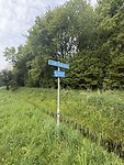 IMG_7381