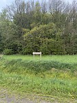 IMG_7380