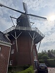 IMG_7388