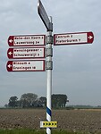 IMG_7387