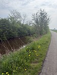 IMG_7394