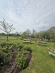IMG_7429