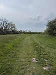 IMG_7432