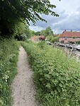 IMG_7881