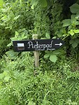 IMG_7883