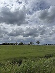 IMG_7885