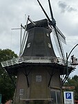 IMG_7892
