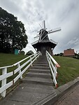 IMG_7894
