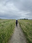IMG_8570